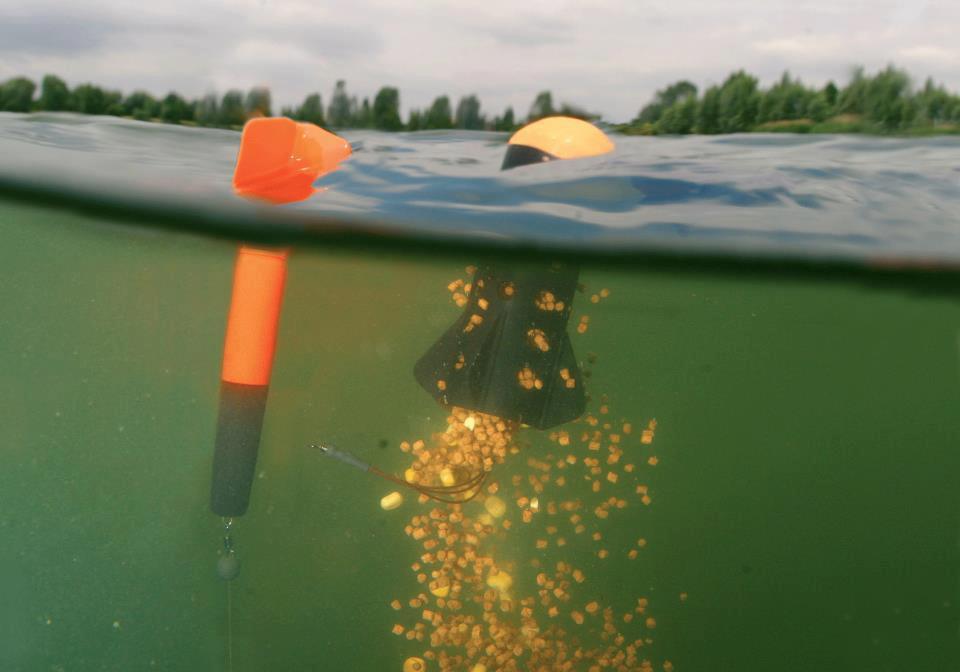 Ma passion !!! - 190204293112247460684285012334n.jpg